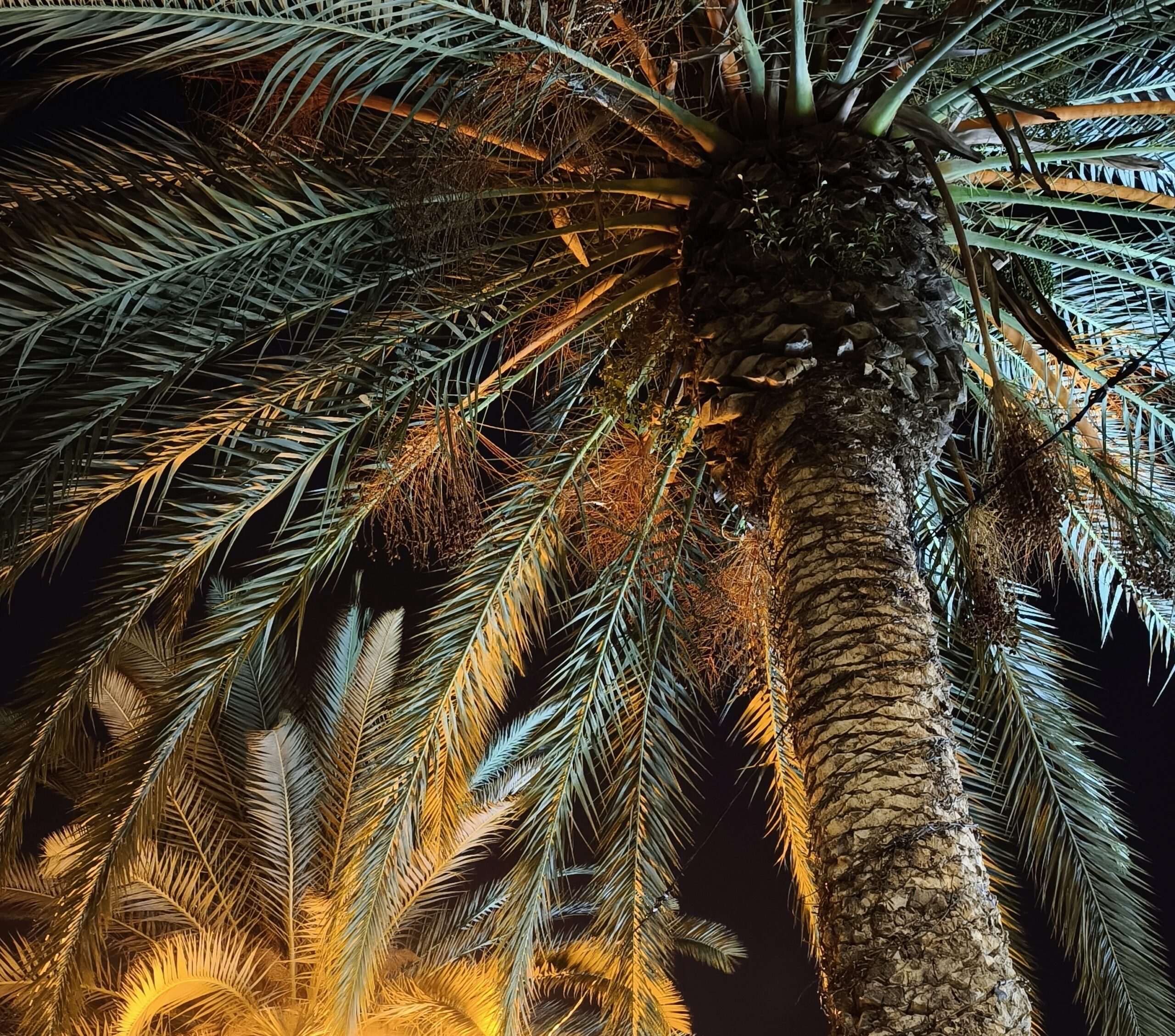 2. Hafen – Madeira und das feuchte Funchal