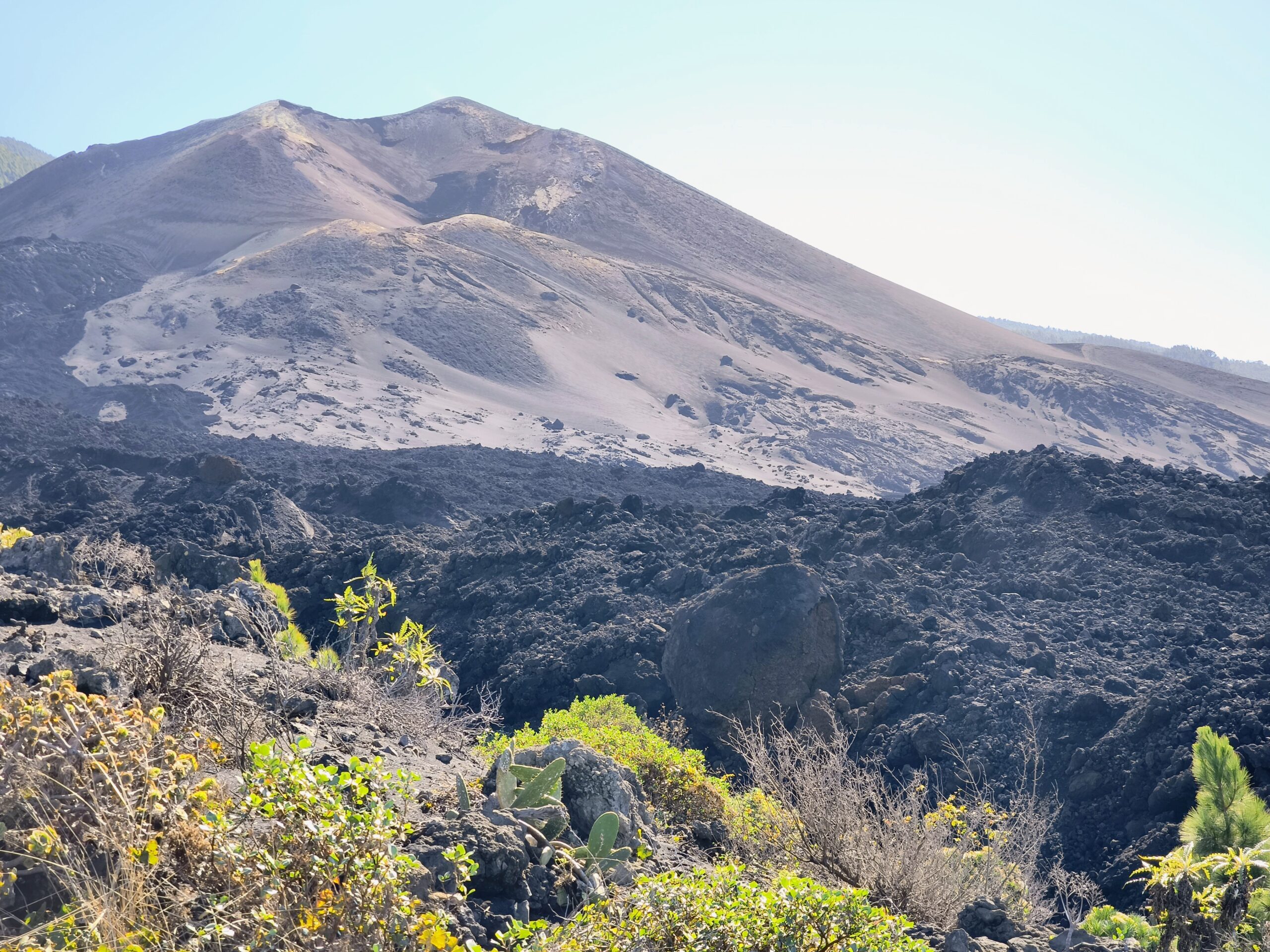 3. Hafen – La Palma 🌋😍