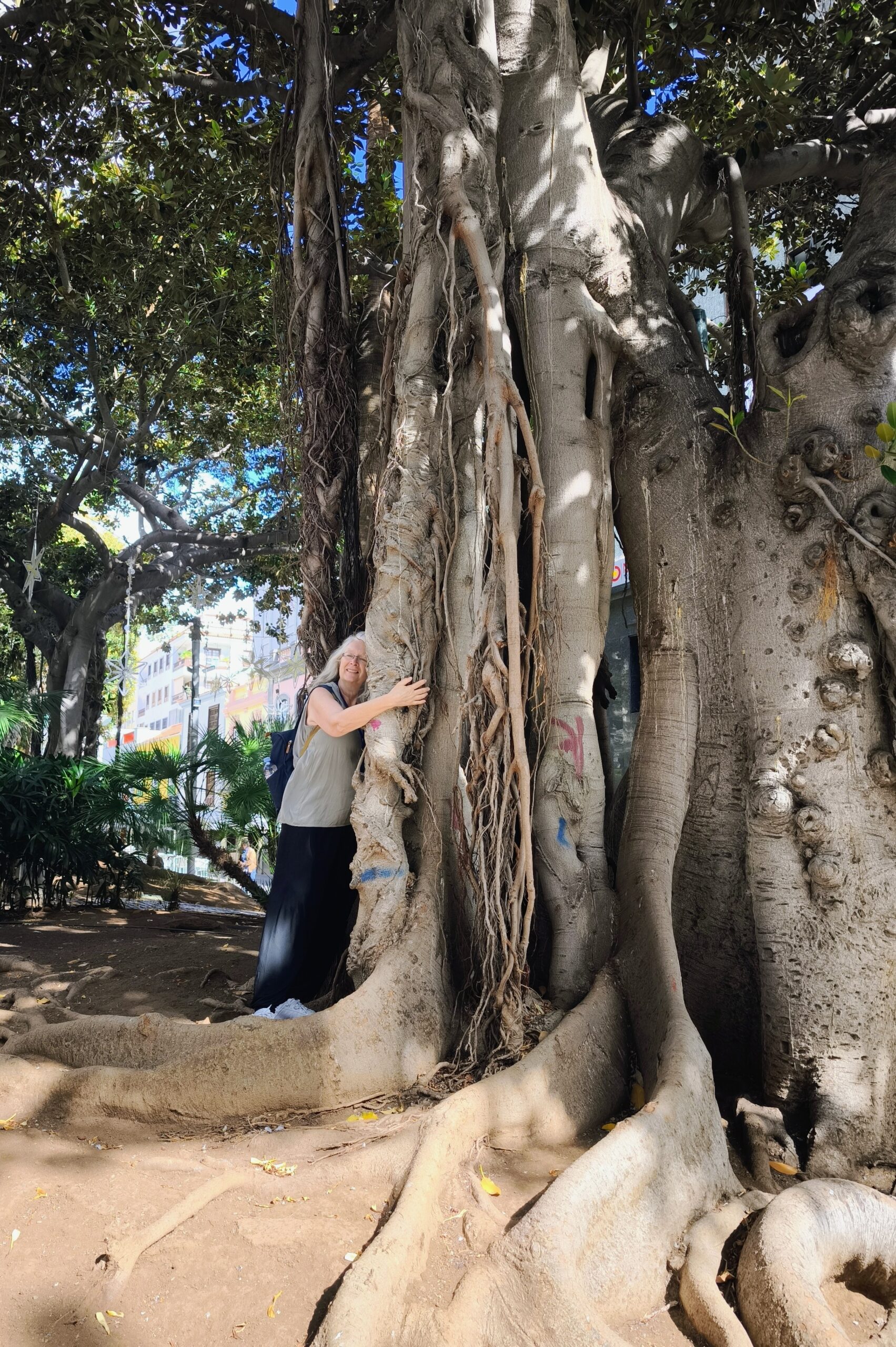 4. + 5. Hafen – Las Palmas, Gran Canaria und ein Abstecher