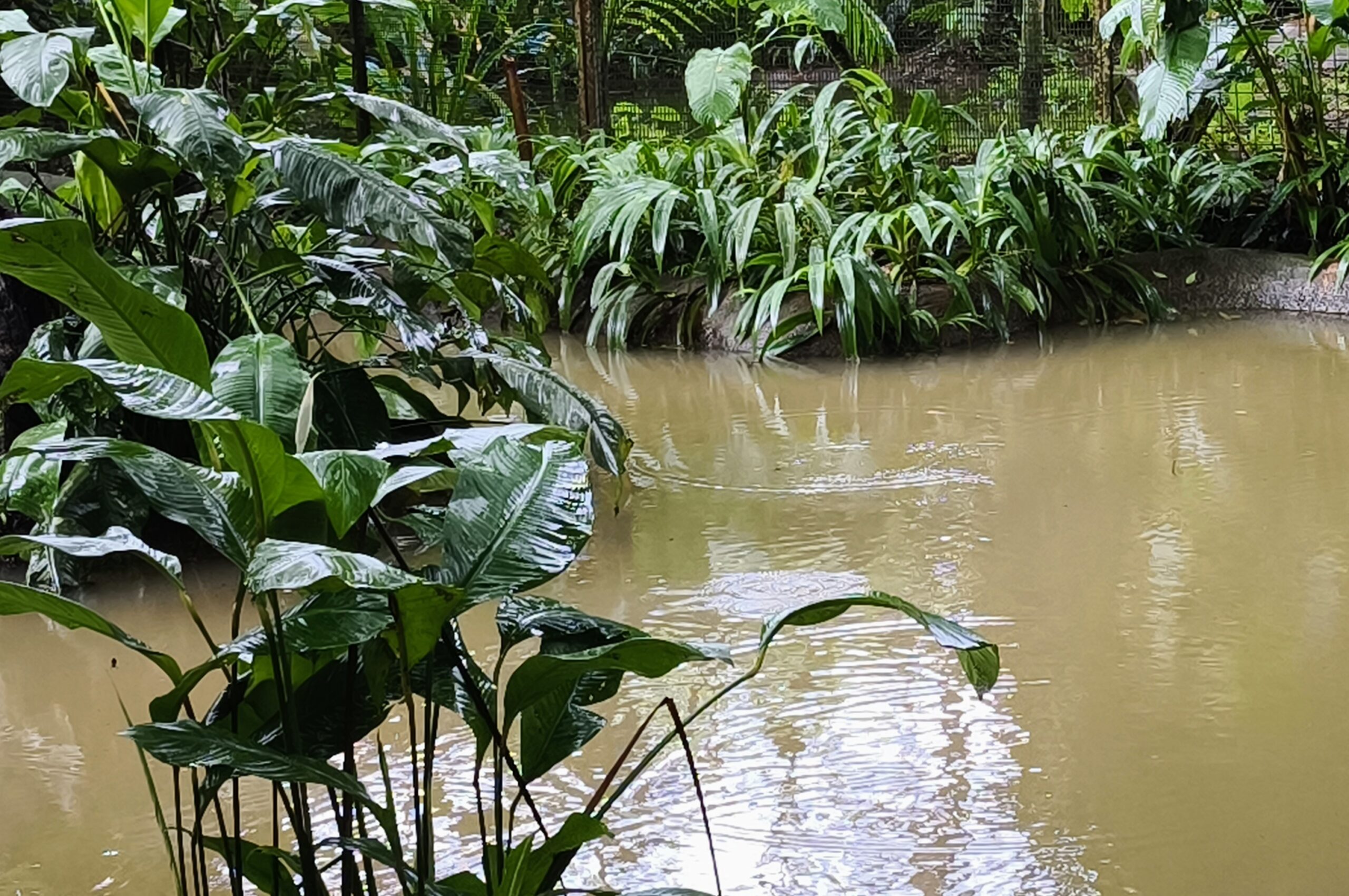 18. Hafen – Puerto Limon im schönen Costa Rica
